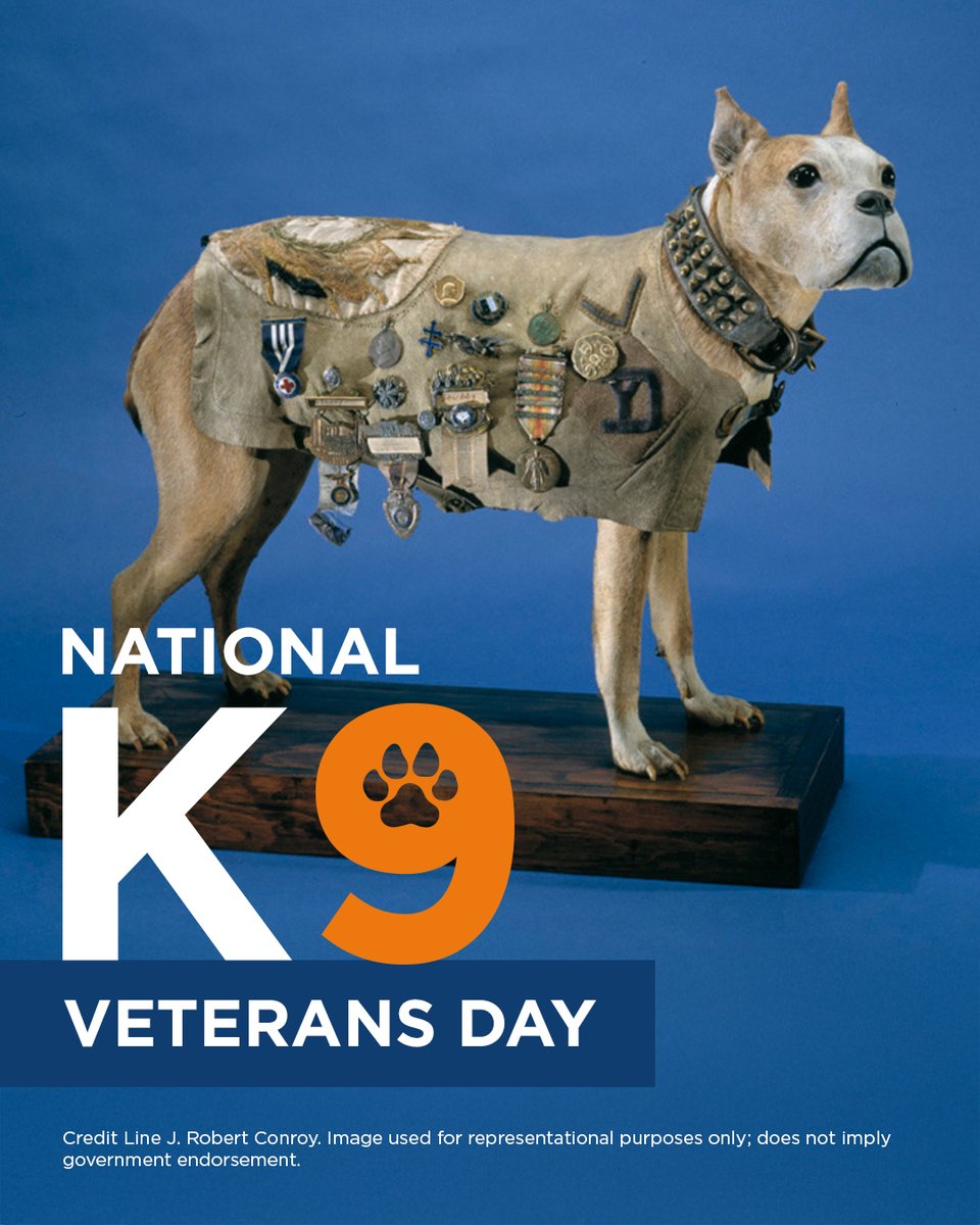 Navy Federal Credit Union tweet media