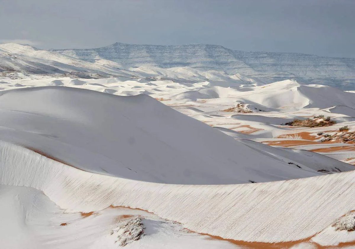 DD_Geopolitics's tweet photo. 🇩🇿❄️ Snow has fallen on the Sahara Desert near Ain Sefra, Algeria, the seventh time in the last 40 years that the world's largest hot desert has turned white.

The town sits at the foot of the Atlas Mountains, where temperatures can drop below freezing overnight, creating the rare conditions needed for snowfall on the dunes.