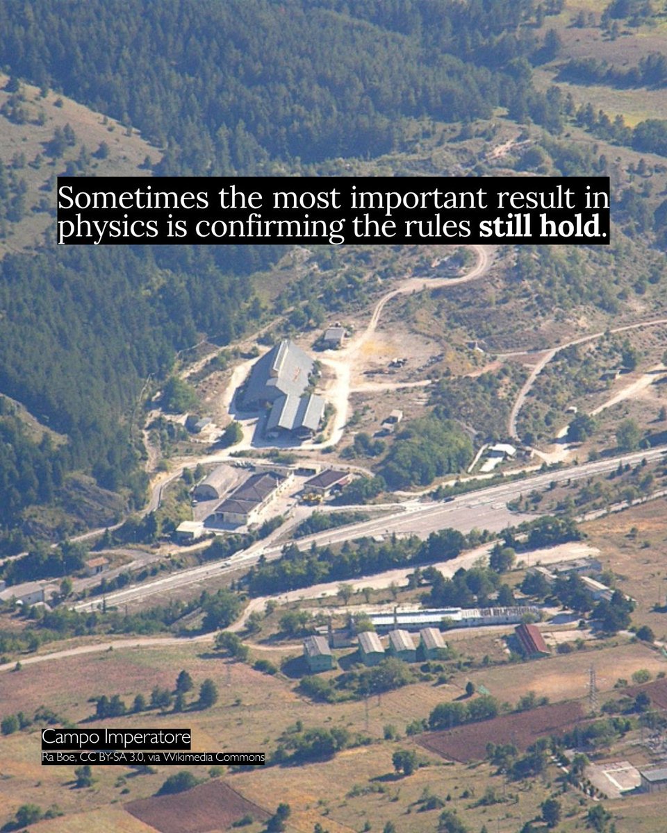 FQxI Physics tweet media