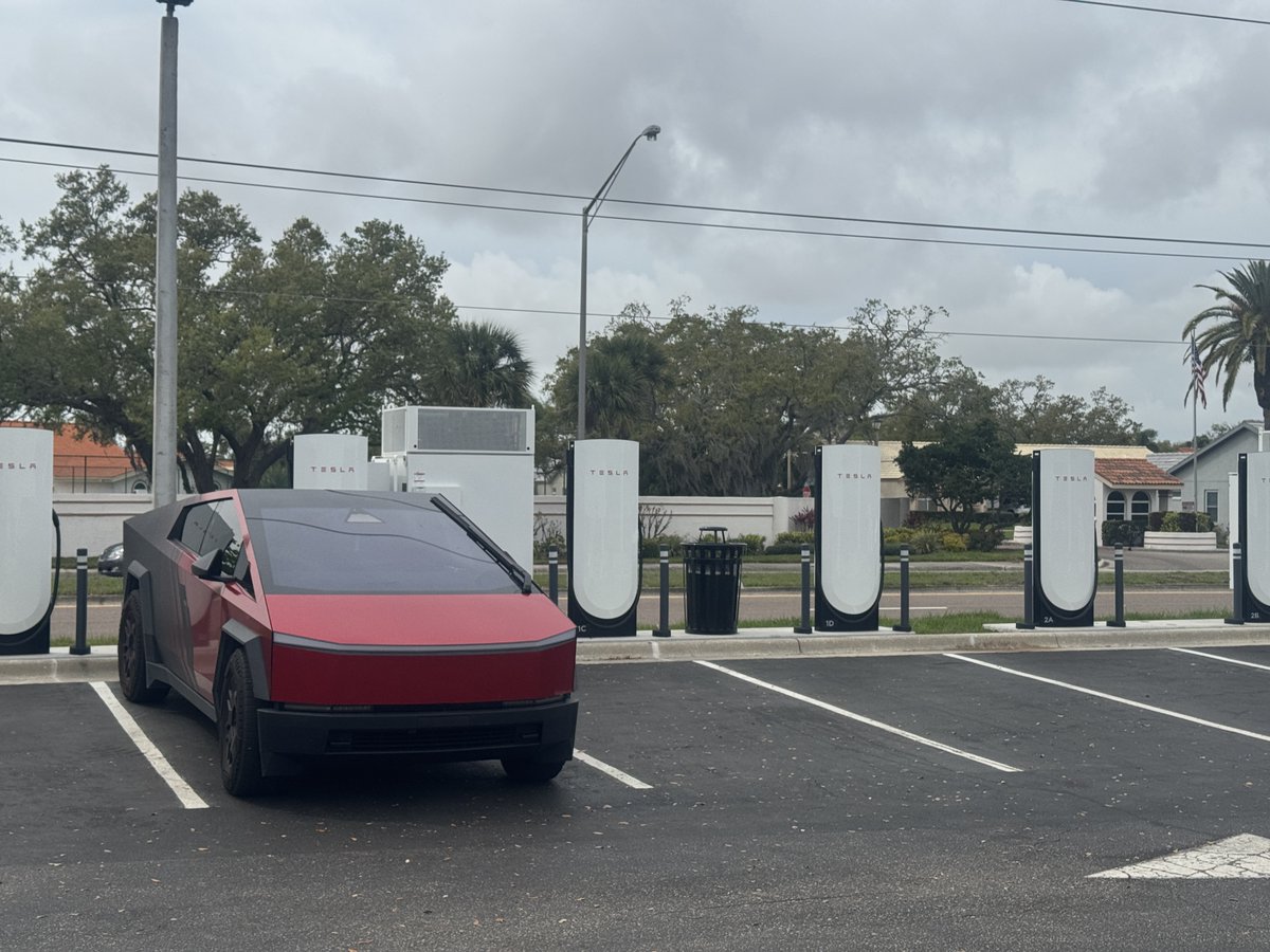 Tolga Tohumcu tweet media