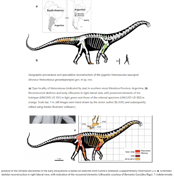 Asociación Paleo-Lógica tweet media