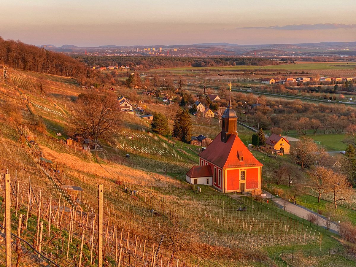 Die Weinbergkirche in Dresden Pillnitz heute im Abendlicht; sie ist 301 Jahr alt; vom nahen Leitenweg sieht man am Horizont links die Tafelberge der Sächsischen Schweiz, mittig Pirna Sonnenstein und rechts die im Bau befindliche Gottleuba-Talbrücke (zoomen)