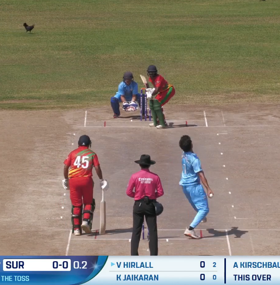 Bertus de Jong tweet media