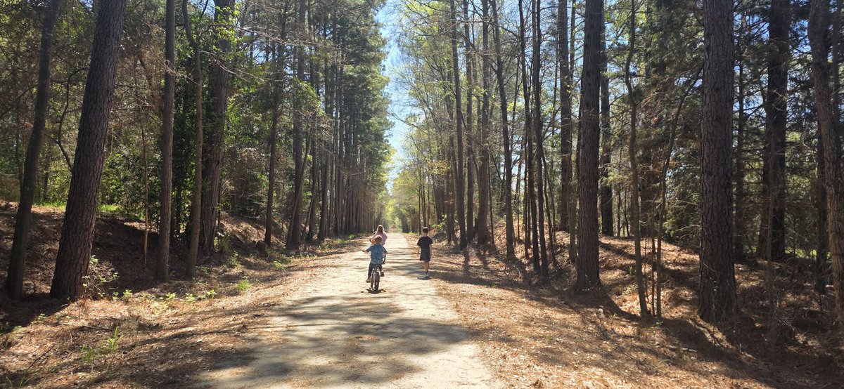 Laura Marder tweet media