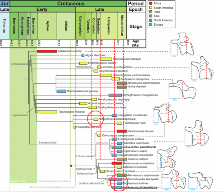Asociación Paleo-Lógica tweet media