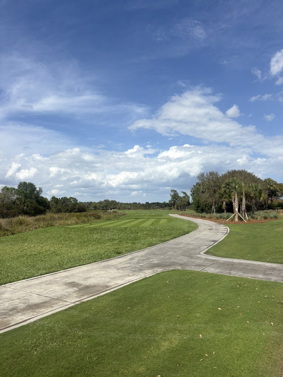 Ryan Thorlton tweet media