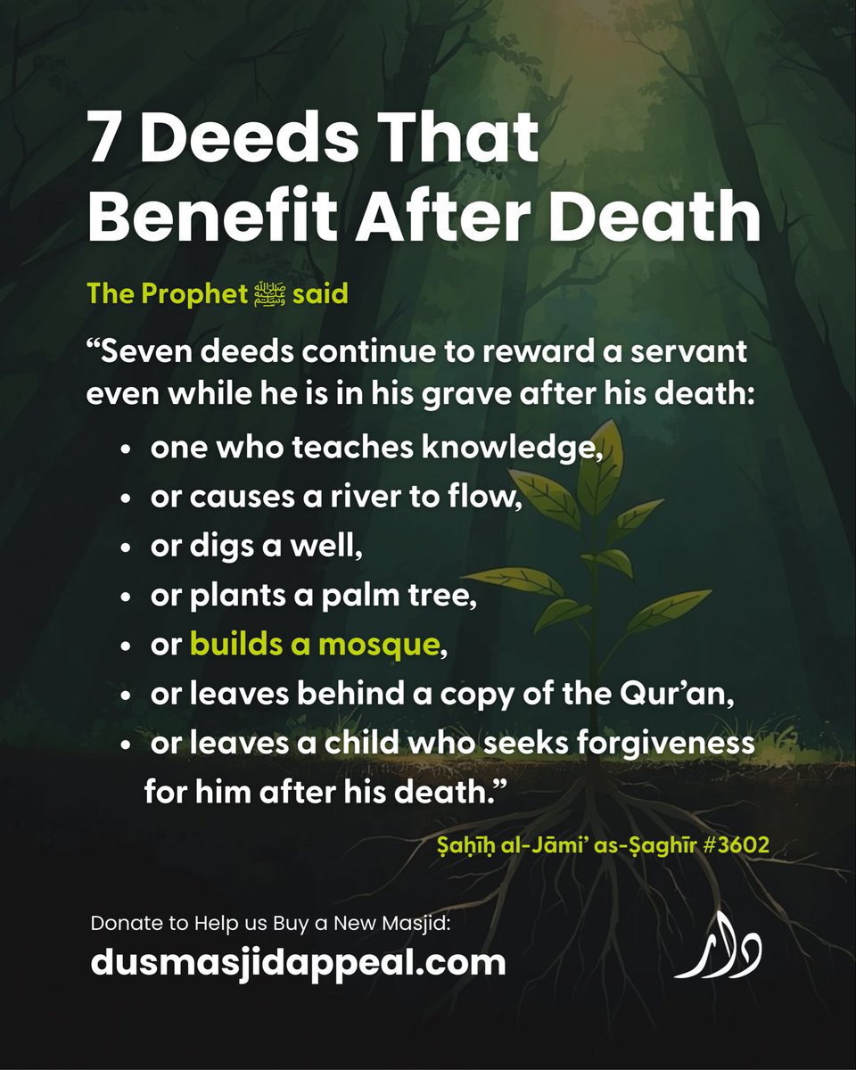 Daar us Sunnah tweet media