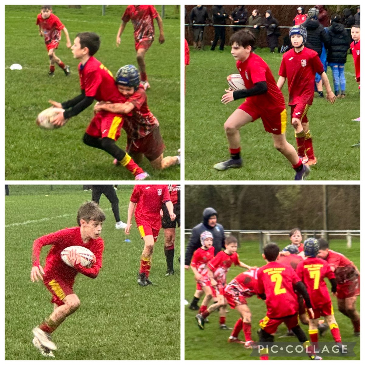 Maple Tree Class tweet media