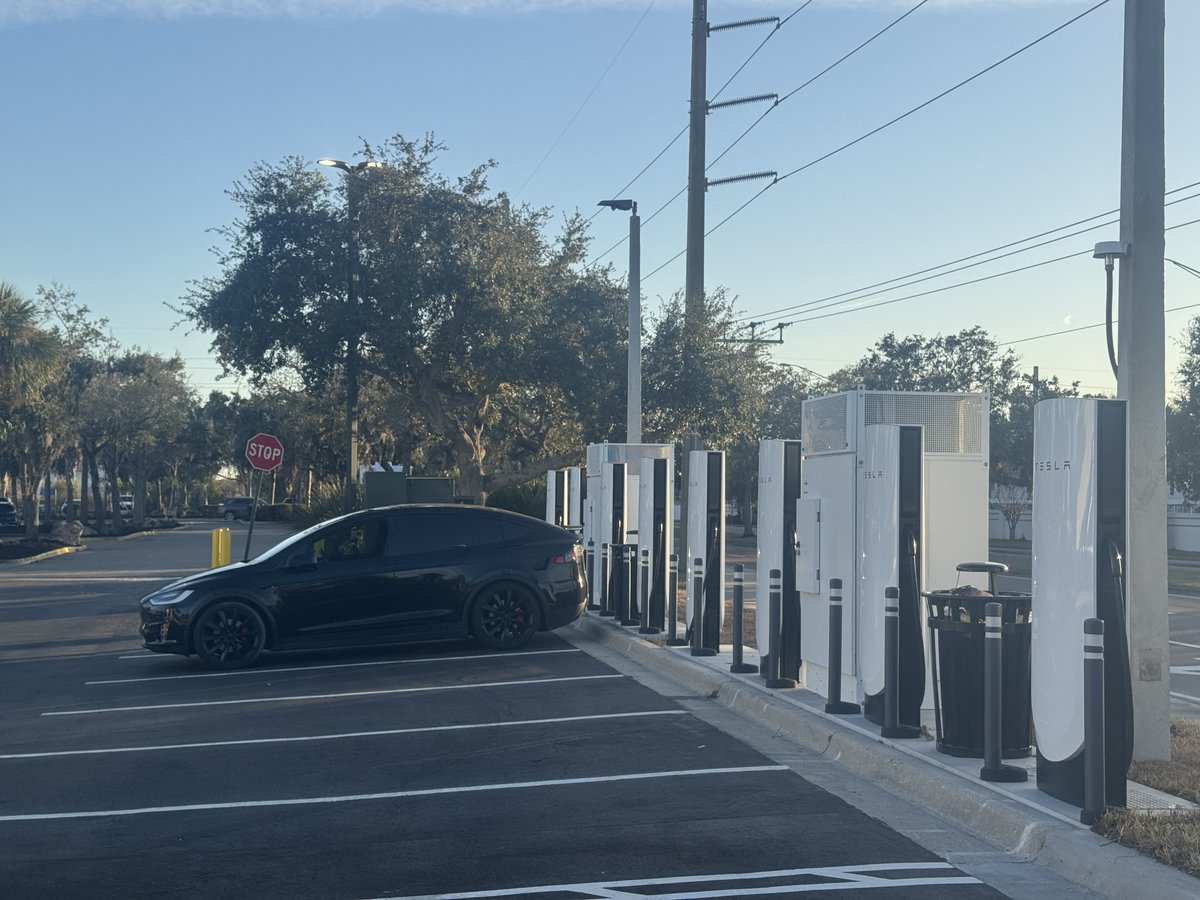 Tolga Tohumcu tweet media