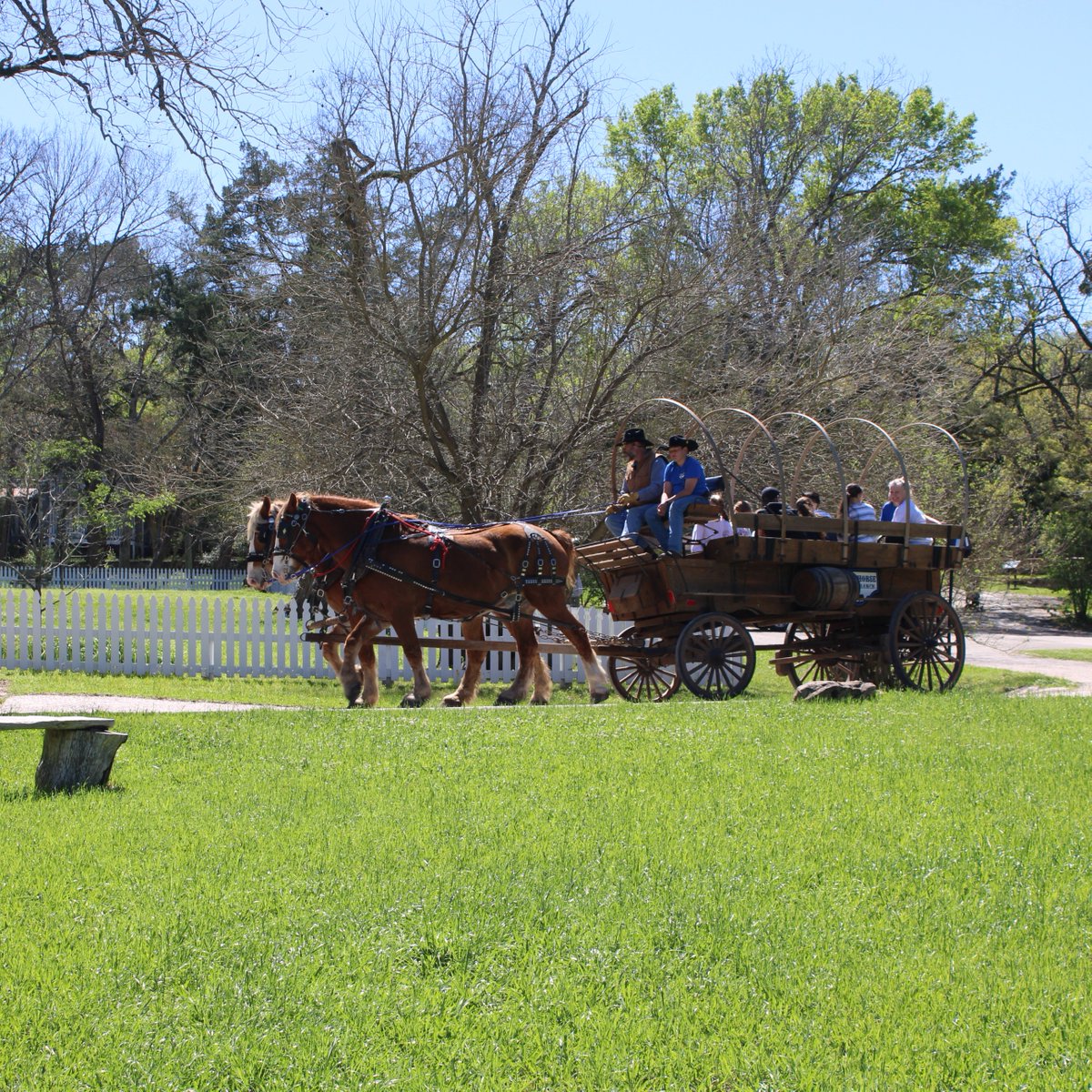 Sam Houston Memorial Museum tweet media