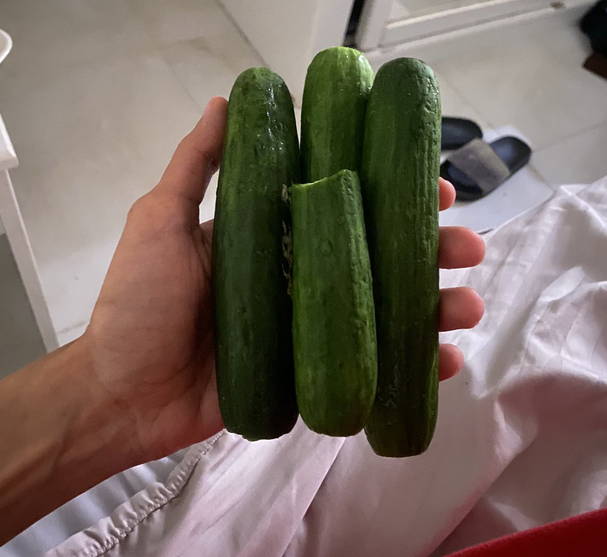 Mauro cake 🐹 (1.3/10kg) tweet media