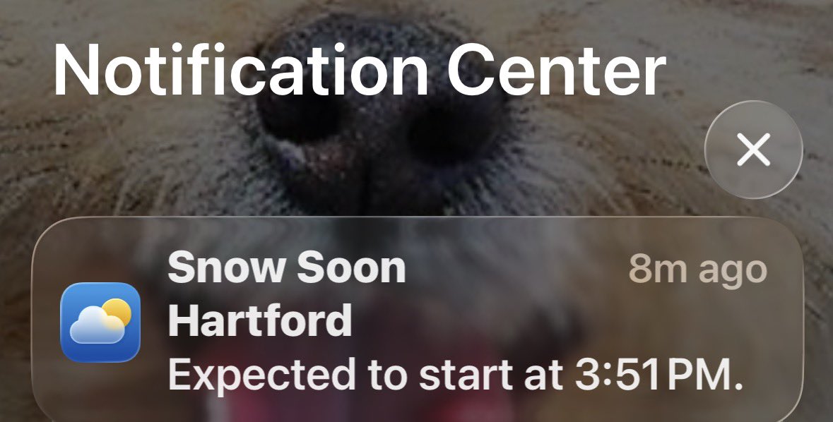 DarrenSweeney's tweet photo. #FakeSpring is over in CT (for now) https://t.co/GoUIIjN9Tl