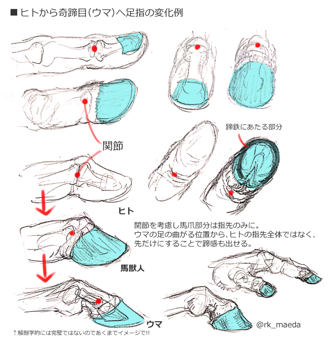 前田陸(Riku Maeda) tweet media