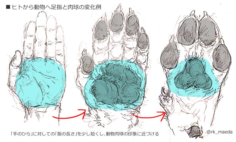 前田陸(Riku Maeda) tweet media