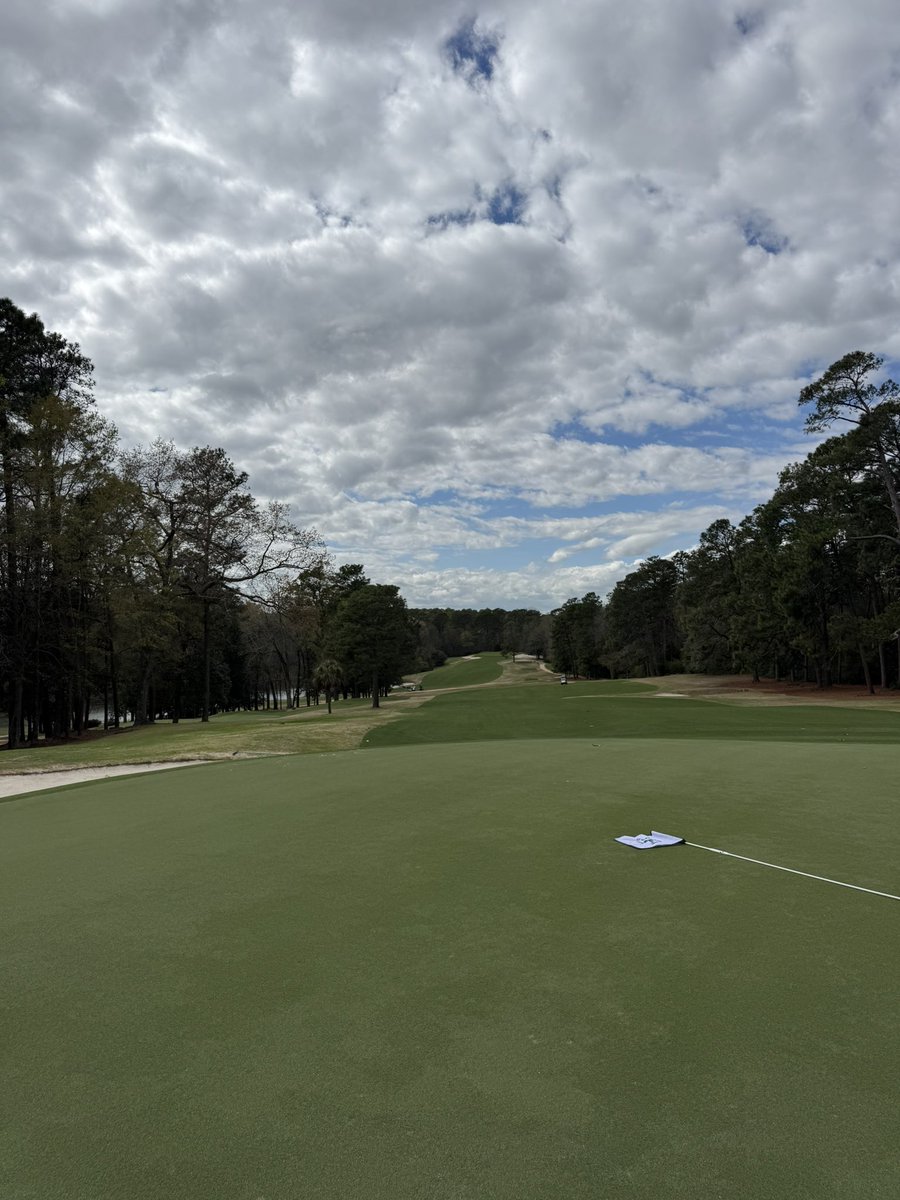 Sir Wetherby II tweet media