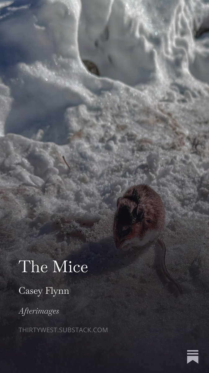 Thirty West tweet media