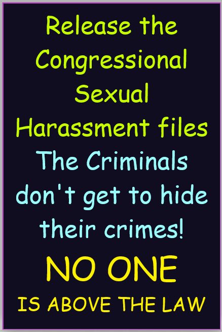 One Bad Dude tweet media