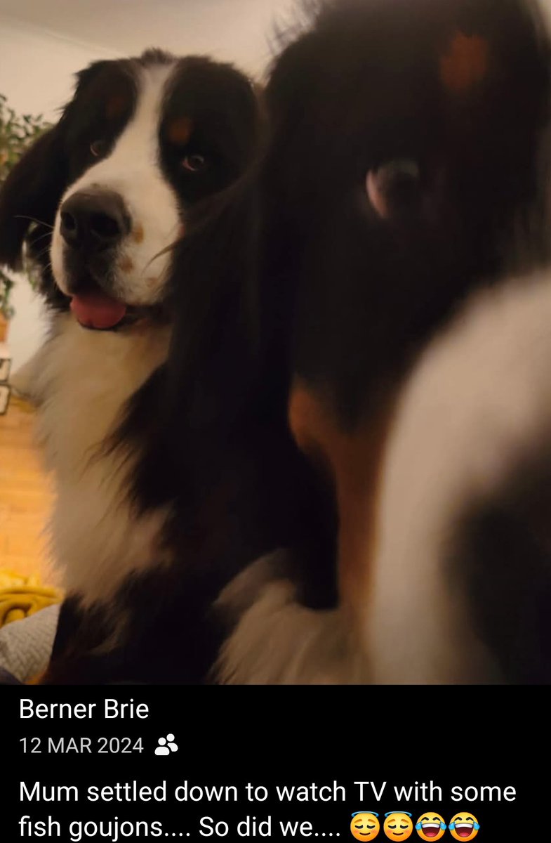 Brie's World 🌍🇬🇧🇨🇭 tweet media