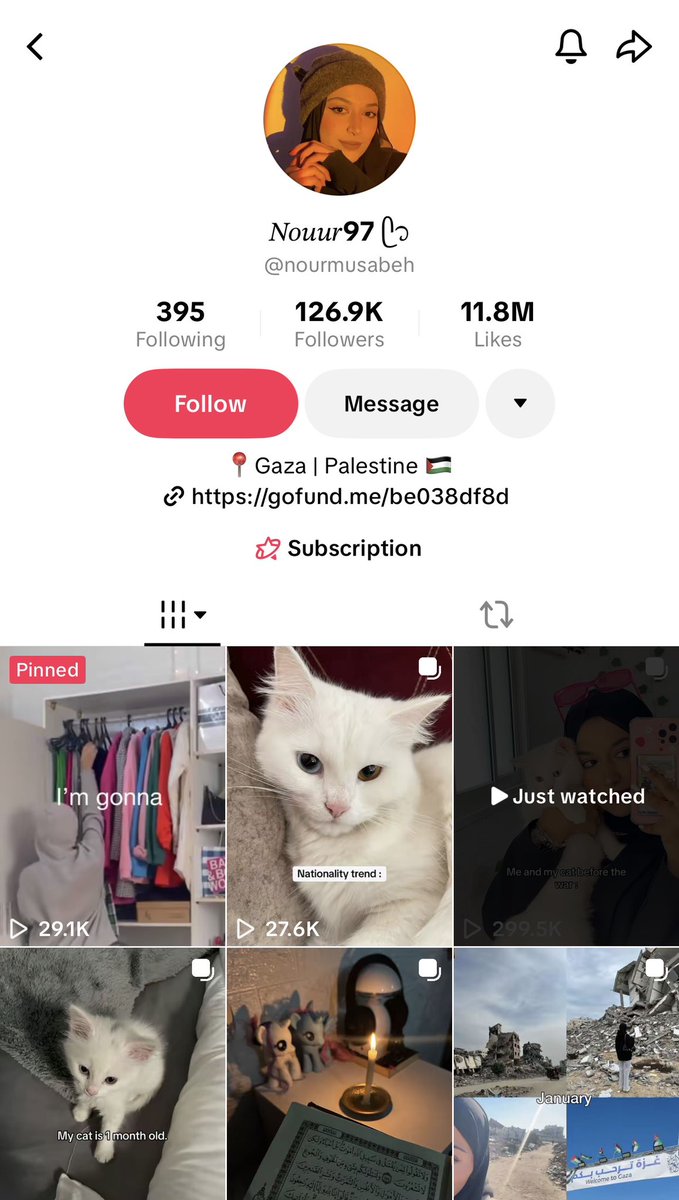 i came across this gazan woman’s tiktok account whose cat is starving to death due to the genocide and she’s trying to reach her goal to afford school and housing in france for a master’s degree she got accepted for. please donate if you can and share 🙏🏻

gofund.me/be038df8d