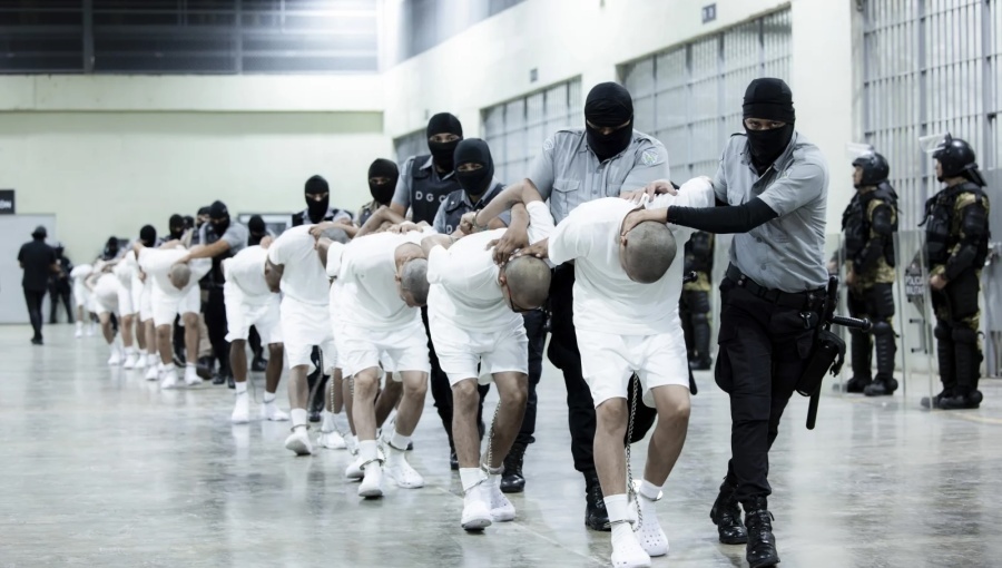 bne IntelliNews tweet media