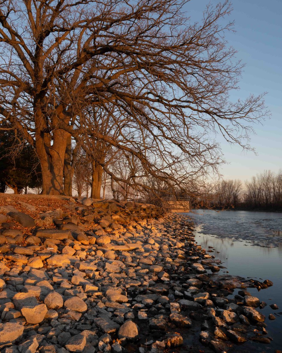 AndrewSabai's tweet photo. Monday, I started with an excursion to Lake Winnebago in Oshkosh to greet the sun, and wrapped up with a trip to Rush Lake to say goodnight.  It was crazy warm for early March, about 70F for a high, and next Monday is a low of 9F.  #oshkoshwi #wisconsinnature #birds https://t.co/WJrGqTUMDW