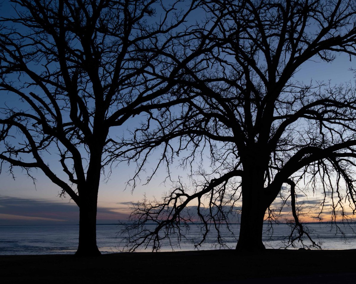 AndrewSabai's tweet photo. Monday, I started with an excursion to Lake Winnebago in Oshkosh to greet the sun, and wrapped up with a trip to Rush Lake to say goodnight.  It was crazy warm for early March, about 70F for a high, and next Monday is a low of 9F.  #oshkoshwi #wisconsinnature #birds https://t.co/WJrGqTUMDW