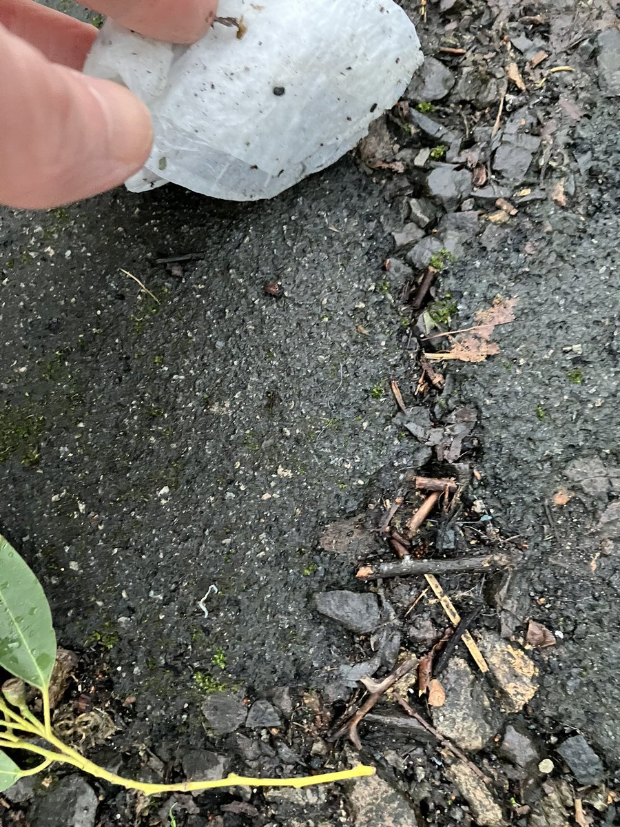 @_pickuplitter tweet media