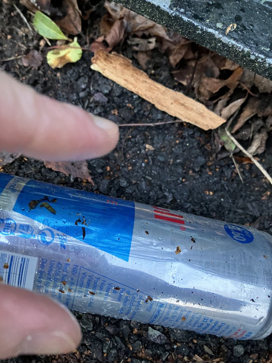 @_pickuplitter tweet media