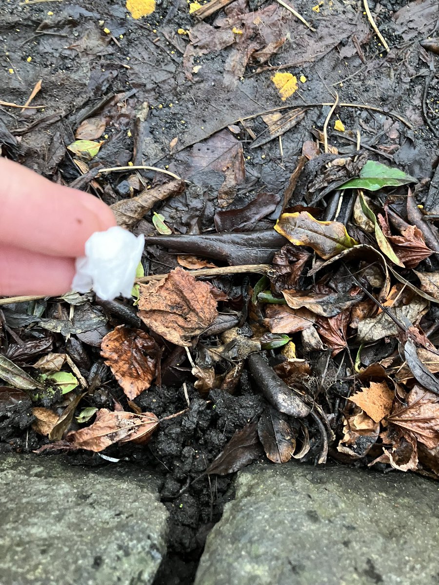 @_pickuplitter tweet media