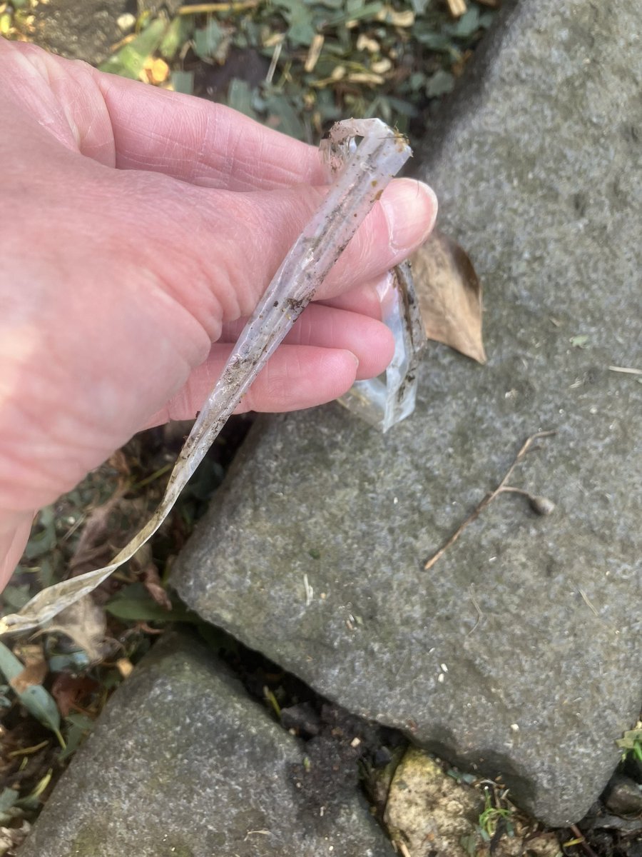 @_pickuplitter tweet media