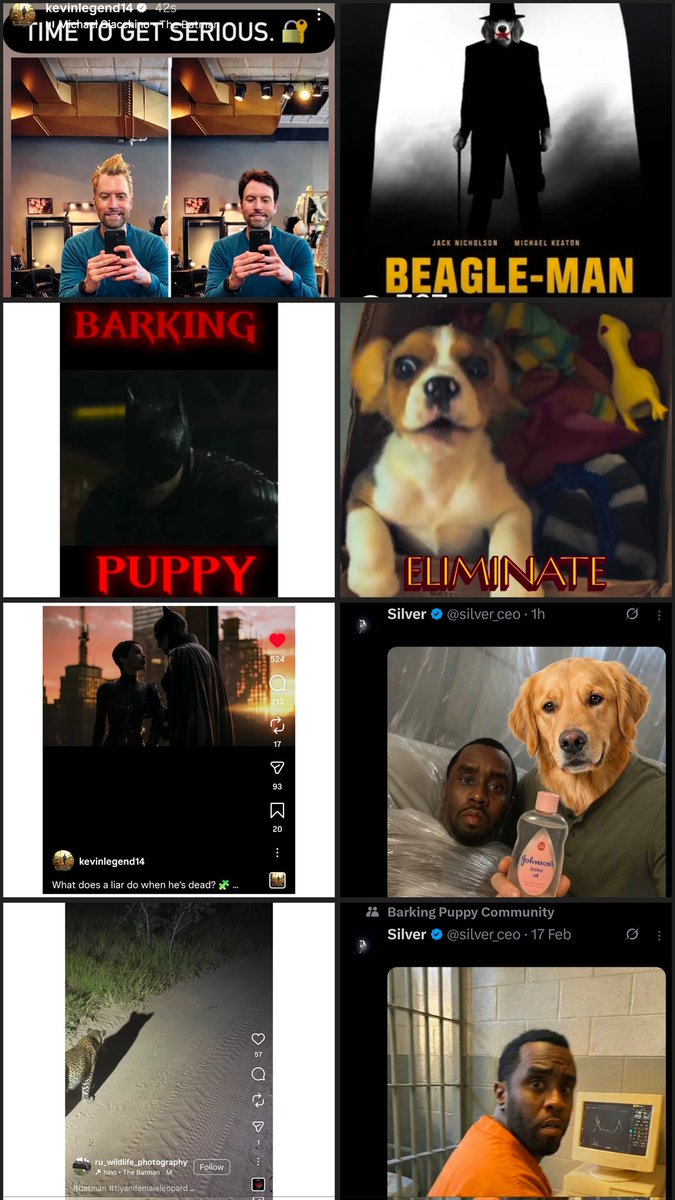 The Prophetic Outlaw tweet media