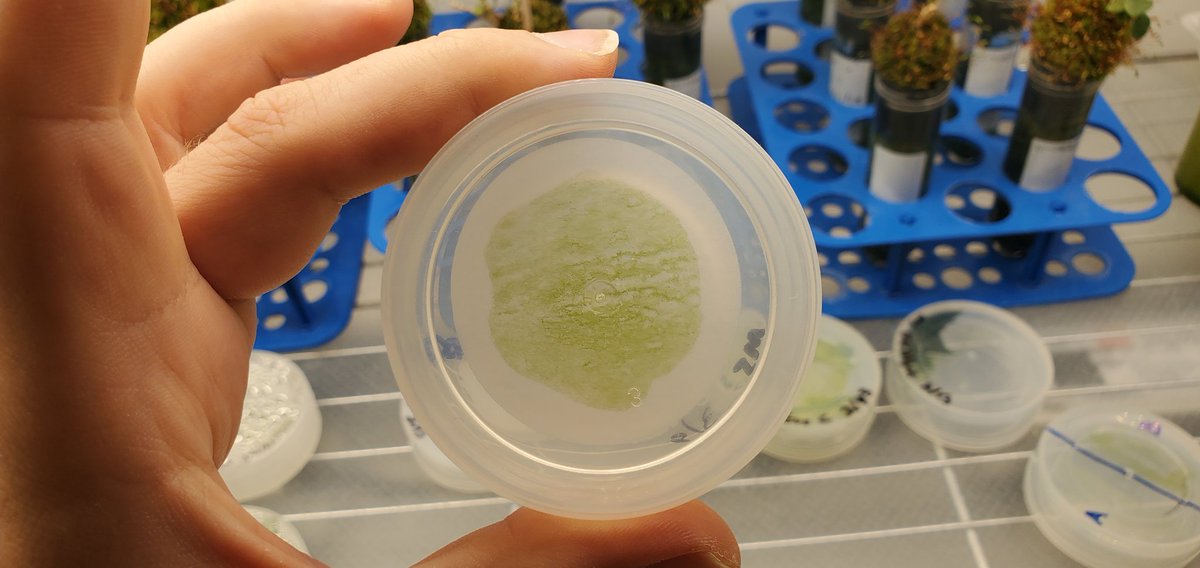 Sebastian S. Cocioba🪄🌷 tweet media