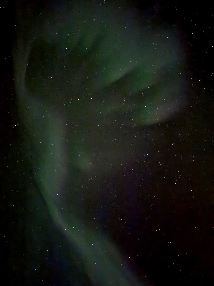 Rania // underflowR tweet media