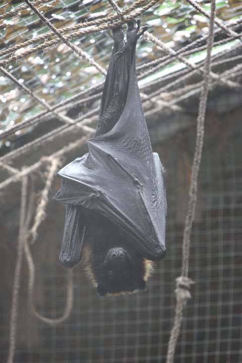 Dat Maven tweet media