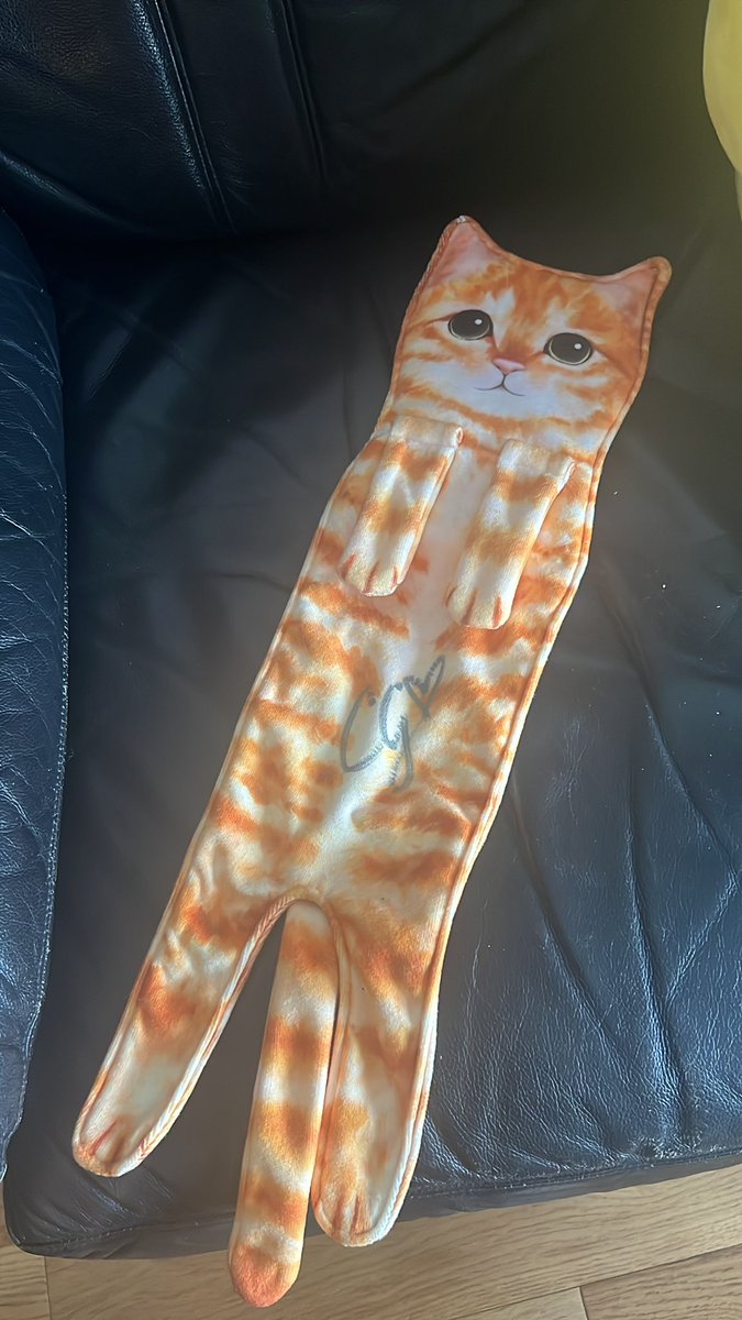 Ryan Ohashi tweet media