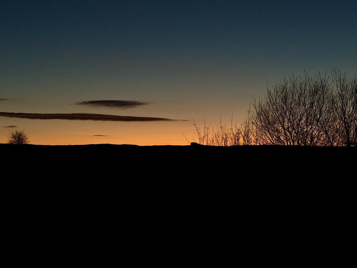 Beatriz Varona ⭐ tweet media