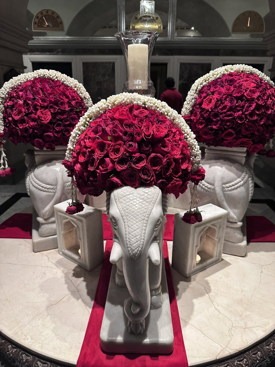 Janka in India 🇮🇳🪷 tweet media