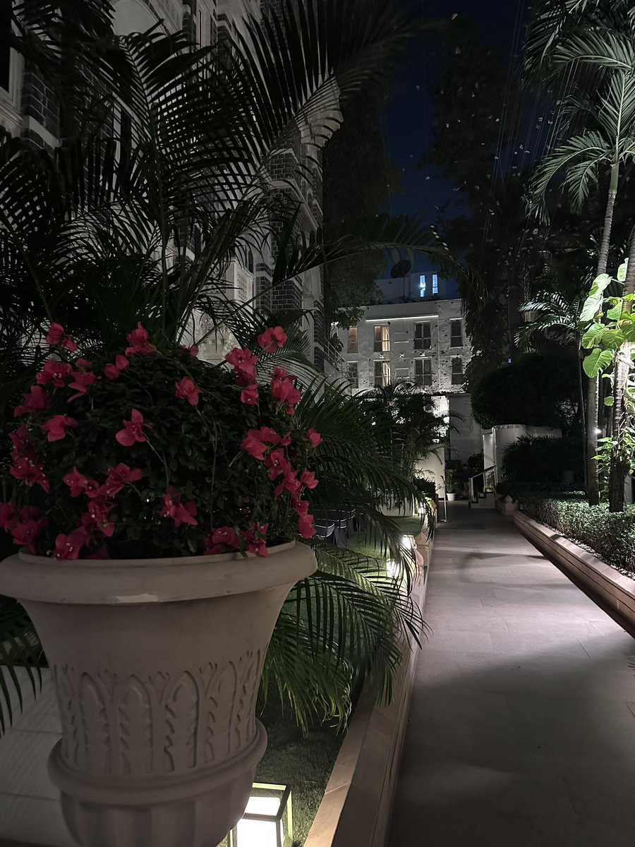 Janka in India 🇮🇳🪷 tweet media