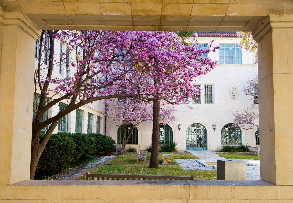 Texas Exes tweet media