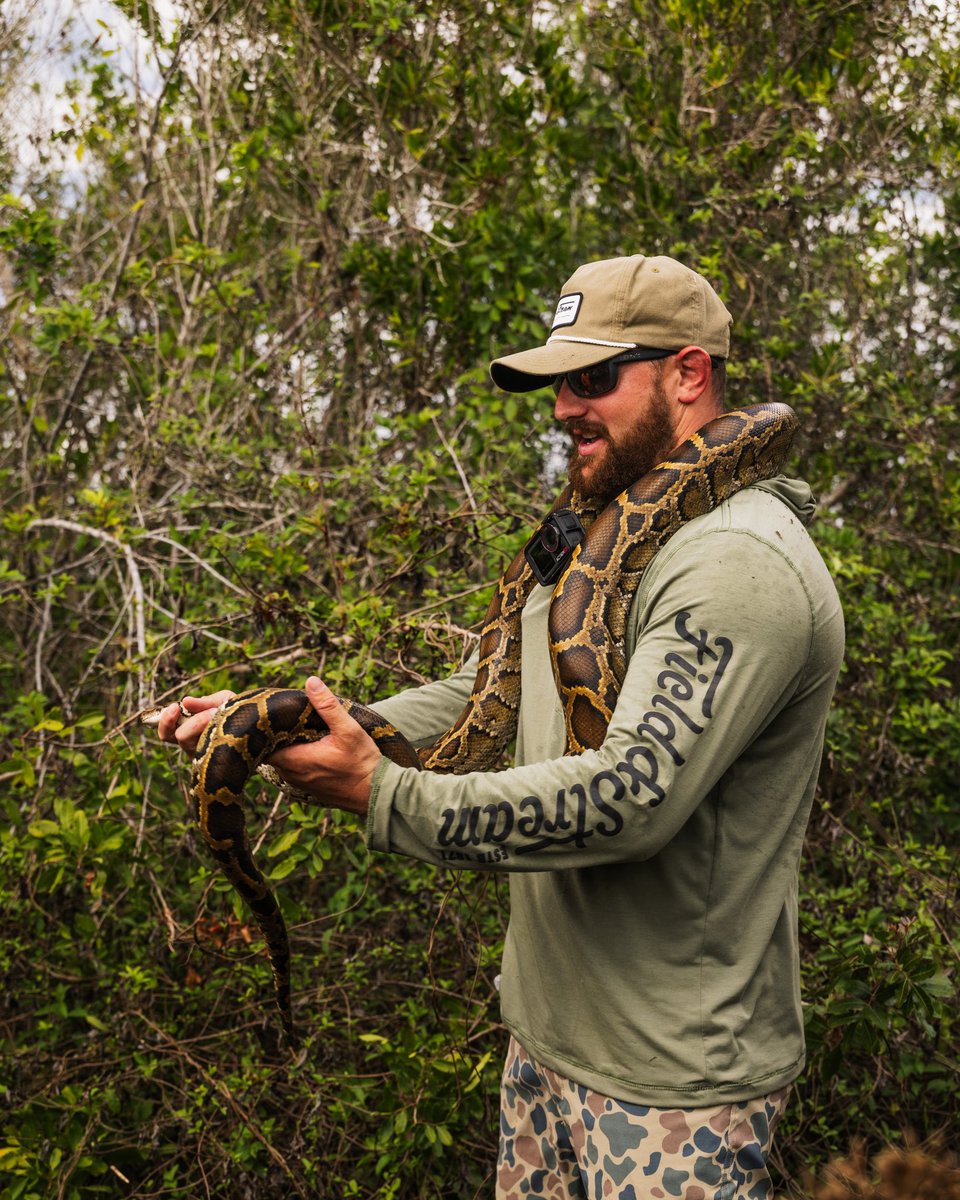 Field & Stream tweet media