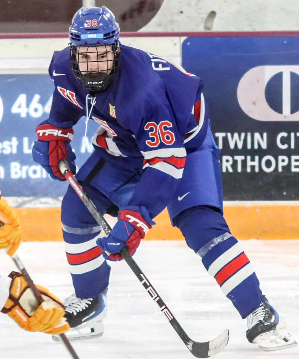 MN Hockey Dog tweet media