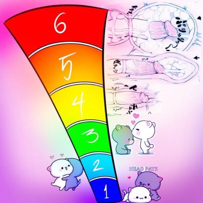 ❀𝕸𝖆𝖗𝖈𝖎𝖑𝖑𝖊 𝕯𝖔𝖓𝖆𝖙𝖔 tweet media