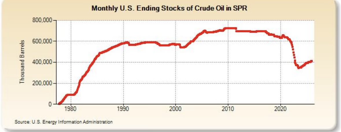 DeeWillRize tweet media