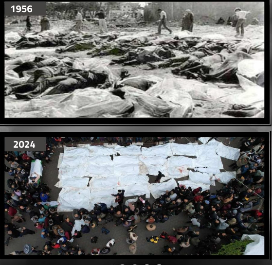 Mosab Abu Toha tweet media