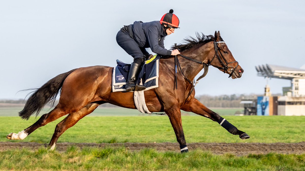 George Boughey Racing tweet media