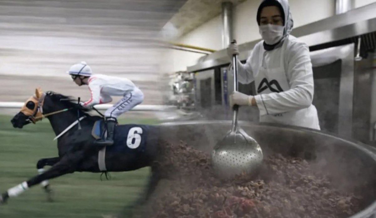 Yeminle at aklıma geldikçe sinirlerim bozuluyor! 

3 birinciliği olan ingiliz yarış atı Mersin belediyesinin aşevinde kavurma yapılmış! 

• Atın, 3 birinciliği olan 4 yaşındaki İngiliz atı 'Smart Latch' olduğu belirlendi.
• Son yarışına 14 Ekim 2025'te çıkan atın bacağında