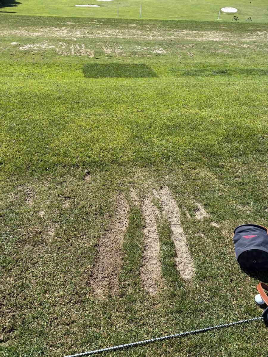 steezmachine3's tweet photo. Denny Crane got a GREAT range sesh in today. https://t.co/PiHxpSWfvN