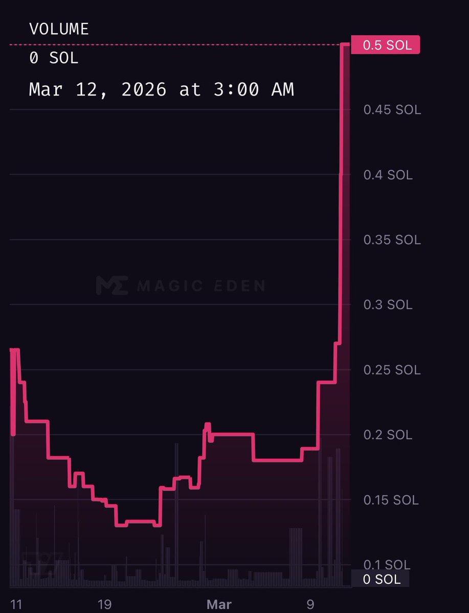 Tommy B. 🇺🇸 tweet media