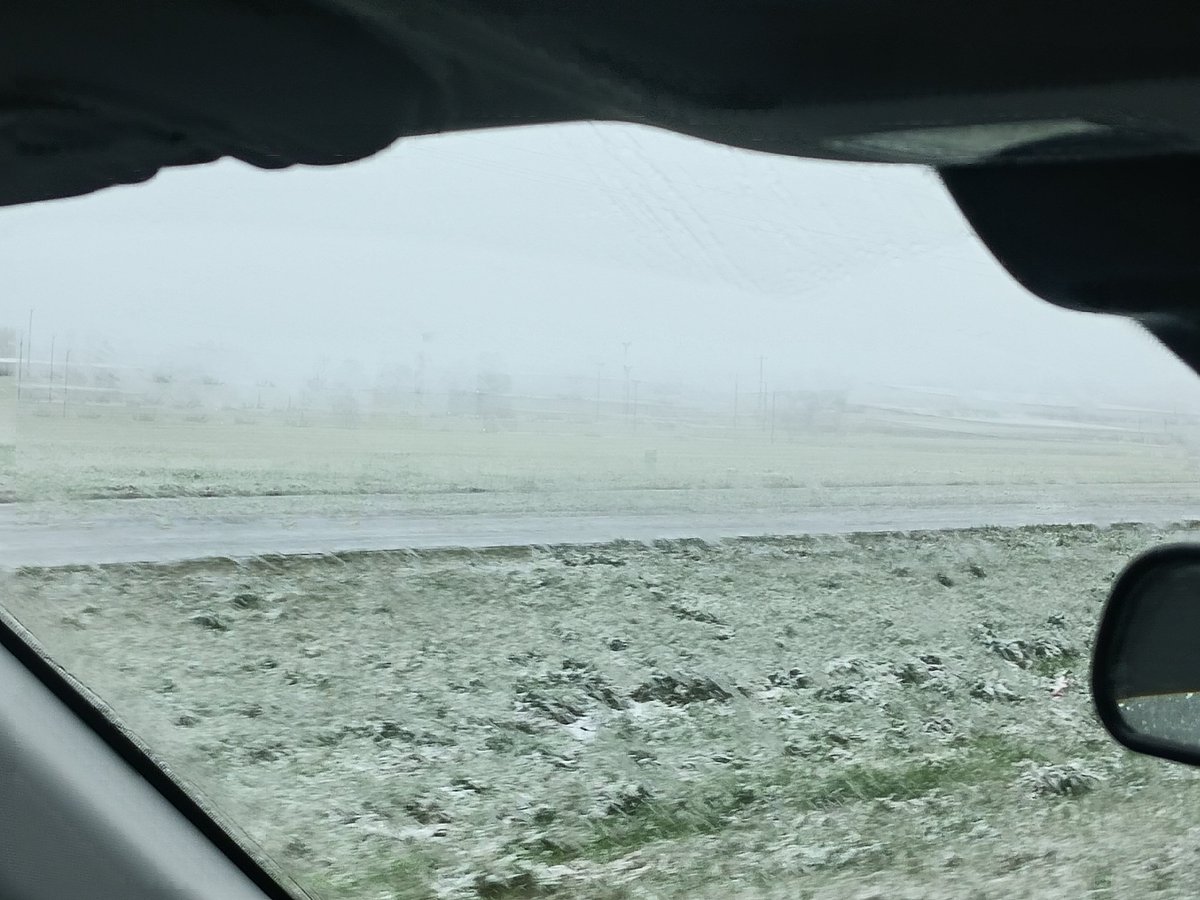 That1Finch's tweet photo. @ryanhallyall  welcome to Virginia, where it's was 80 yesterday. 🤣 https://t.co/7clnIi8w9O