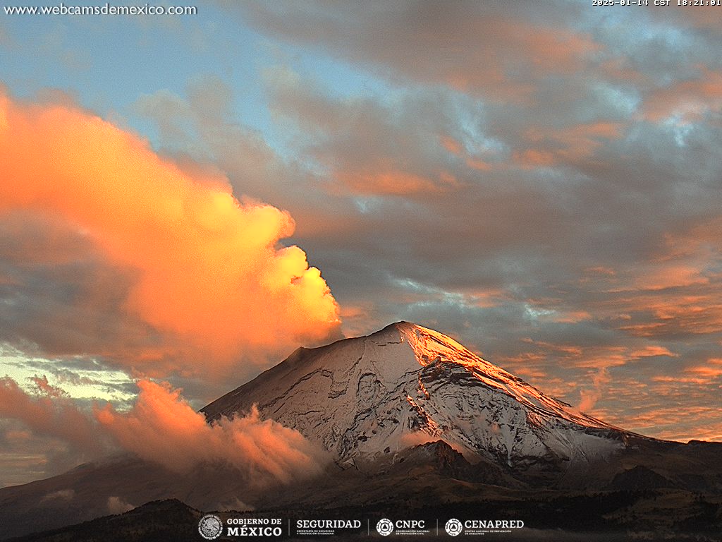 Webcams de México tweet media